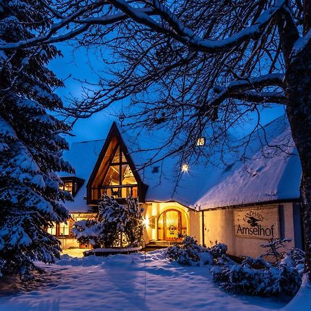 Landhaus Amselhof Hinterzarten Eksteriør billede
