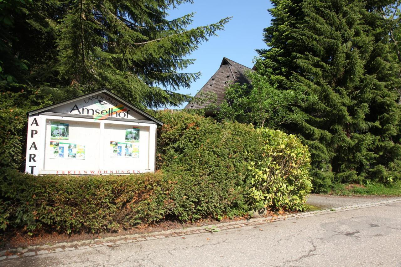 Landhaus Amselhof Hinterzarten Eksteriør billede