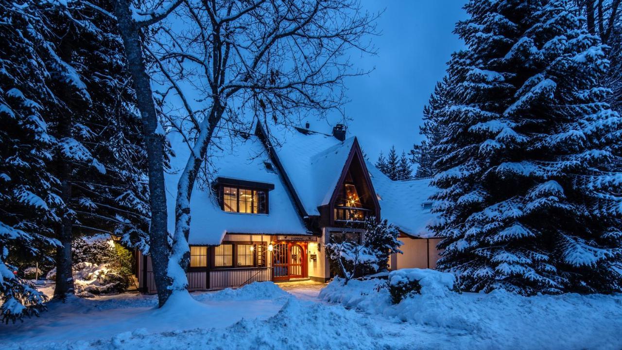 Landhaus Amselhof Hinterzarten Eksteriør billede