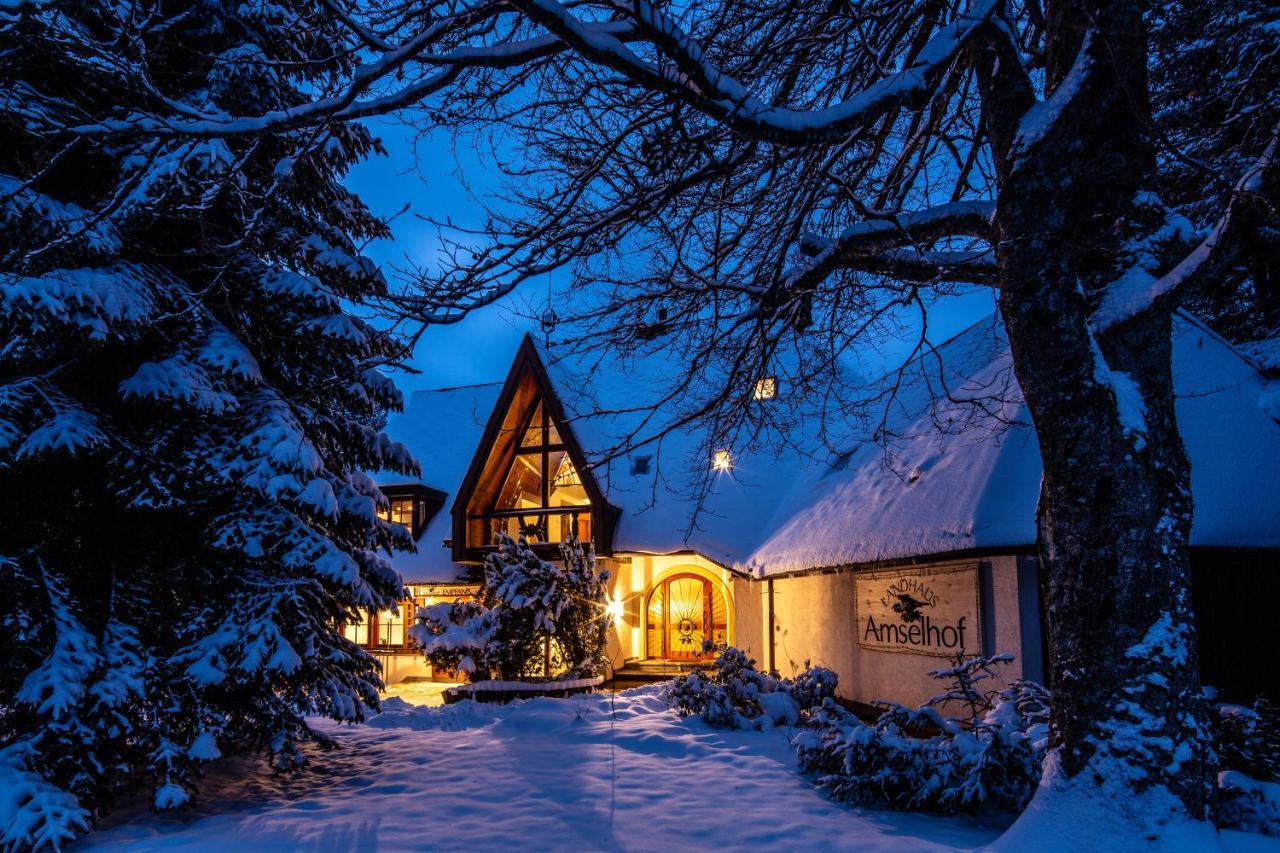Landhaus Amselhof Hinterzarten Eksteriør billede